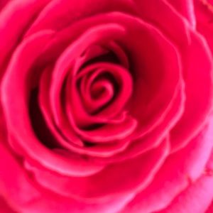 Meet your Posher, Benedetta